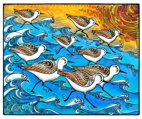 Sanderling Dance Print